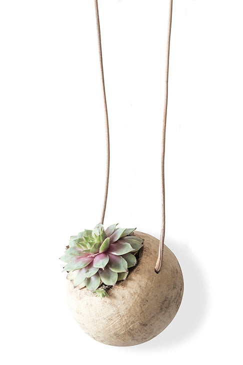 HANGING PLANT